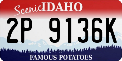 ID license plate 2P9136K