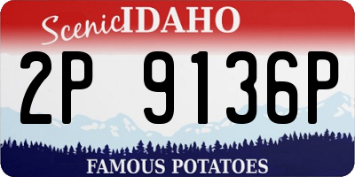 ID license plate 2P9136P