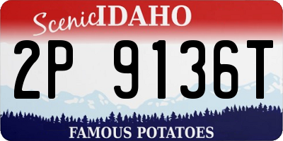 ID license plate 2P9136T