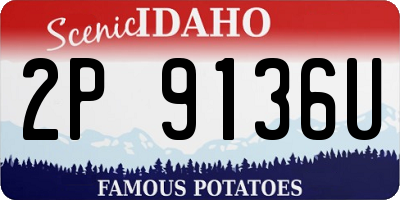 ID license plate 2P9136U