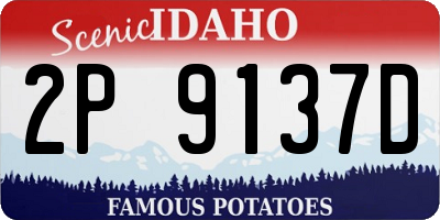 ID license plate 2P9137D