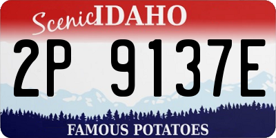 ID license plate 2P9137E
