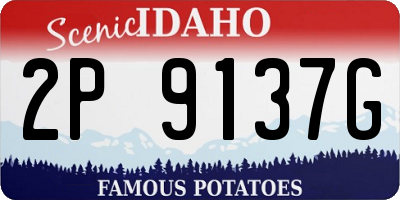 ID license plate 2P9137G