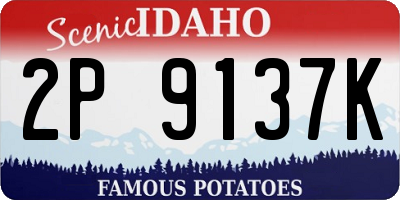 ID license plate 2P9137K