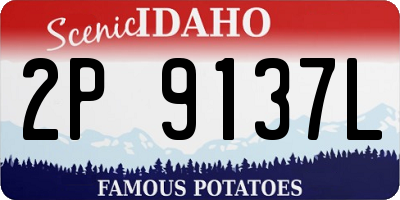 ID license plate 2P9137L