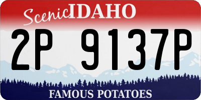 ID license plate 2P9137P