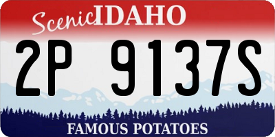 ID license plate 2P9137S