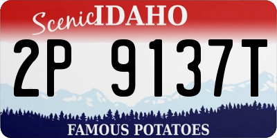 ID license plate 2P9137T