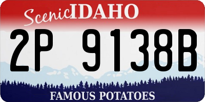 ID license plate 2P9138B