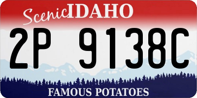 ID license plate 2P9138C