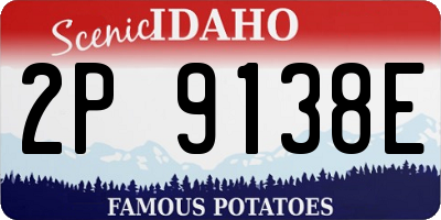 ID license plate 2P9138E