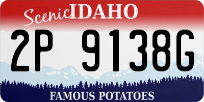 ID license plate 2P9138G