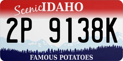 ID license plate 2P9138K