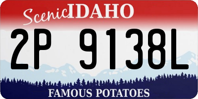 ID license plate 2P9138L