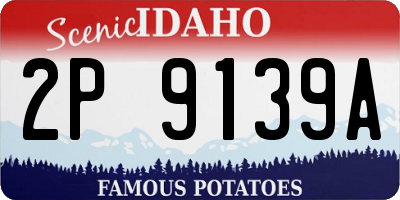ID license plate 2P9139A
