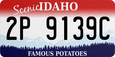 ID license plate 2P9139C