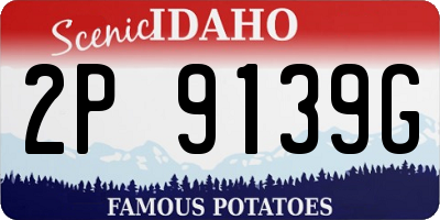 ID license plate 2P9139G
