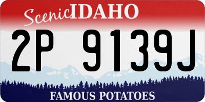 ID license plate 2P9139J