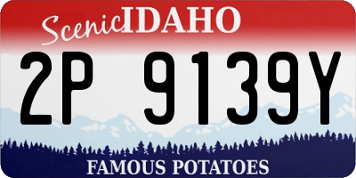 ID license plate 2P9139Y