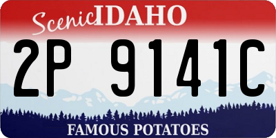 ID license plate 2P9141C