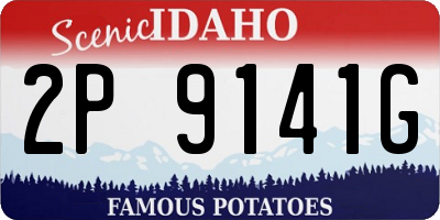 ID license plate 2P9141G