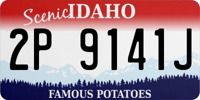 ID license plate 2P9141J