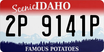 ID license plate 2P9141P