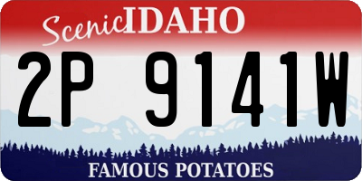 ID license plate 2P9141W