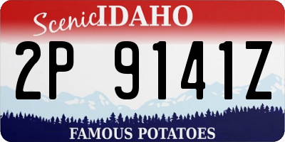ID license plate 2P9141Z