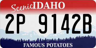 ID license plate 2P9142B