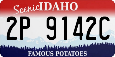 ID license plate 2P9142C