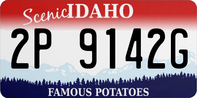 ID license plate 2P9142G