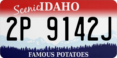 ID license plate 2P9142J
