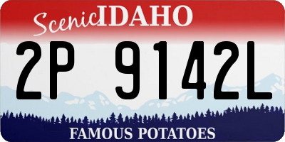 ID license plate 2P9142L