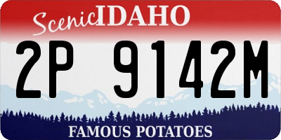 ID license plate 2P9142M