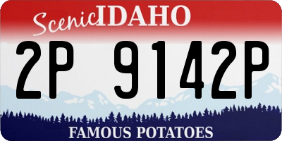 ID license plate 2P9142P