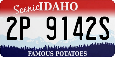 ID license plate 2P9142S