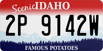 ID license plate 2P9142W