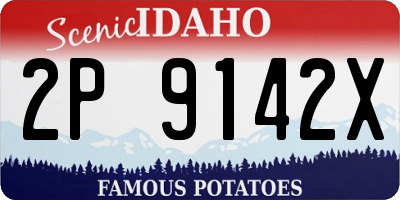 ID license plate 2P9142X