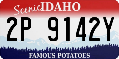 ID license plate 2P9142Y