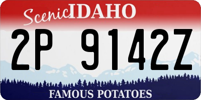 ID license plate 2P9142Z