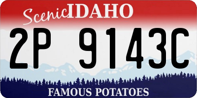 ID license plate 2P9143C