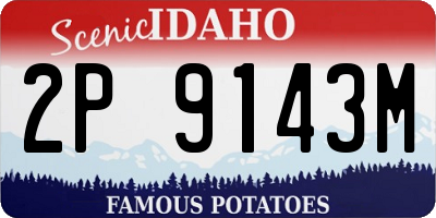 ID license plate 2P9143M