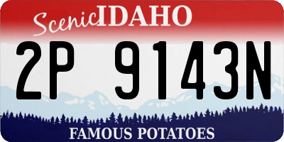 ID license plate 2P9143N