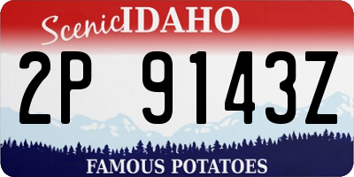 ID license plate 2P9143Z