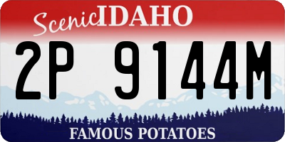 ID license plate 2P9144M