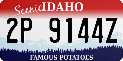 ID license plate 2P9144Z