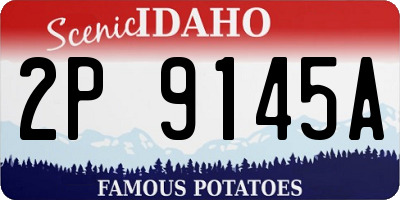 ID license plate 2P9145A