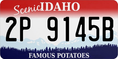 ID license plate 2P9145B