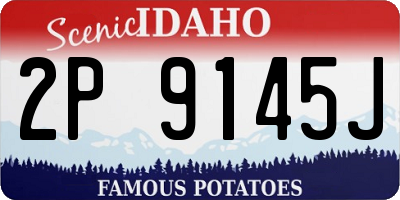 ID license plate 2P9145J